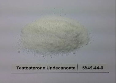 White crystalline powder Prescription Raw Testosterone Undecanoate Powder Andriol Steroids To Get Ripped CAS 5949-44-0