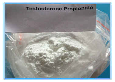 टेस्टोस्टेरोन पाउडर कैस 57-85-2 टेस्ट प्रोपिनोनेट इंजेक्शन स्टेरॉयड