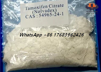कैस 54965-24-1 Nolvadex Tamoxifen साइट्रेट एस्ट्रोजन अवरोधक स्टेरॉयड व्हाइट क्रिस्टलीय पाउडर